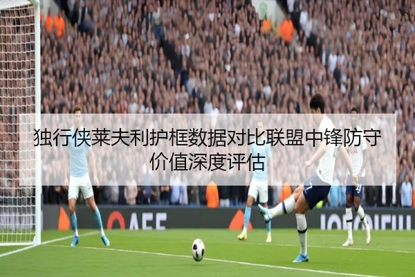 独行侠莱夫利护框数据对比联盟中锋防守价值深度评估